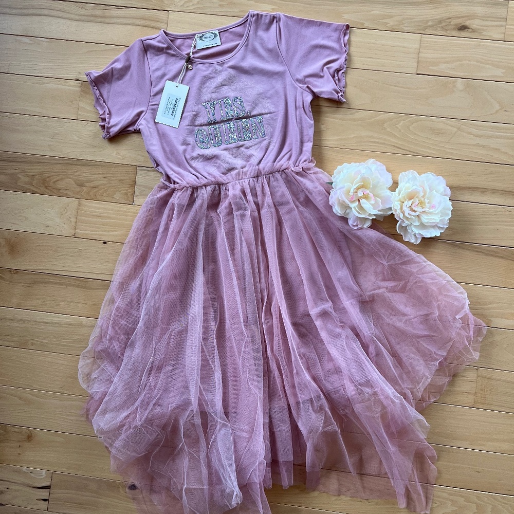 NWT Joyfolie Feya Dress in Blush Sz 12